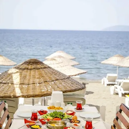 リゾート Teos Ormanci Tatil Koyu