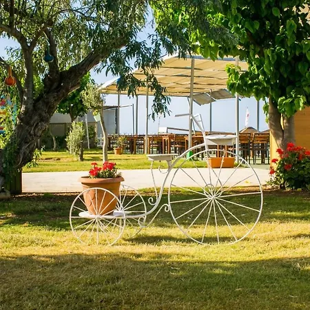 Semesteranläggning (resort) Teos Ormanci Tatil Koyu 3*