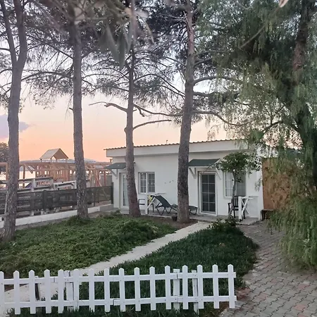 Teos Ormanci Tatil Koyu セェフェリヒサール