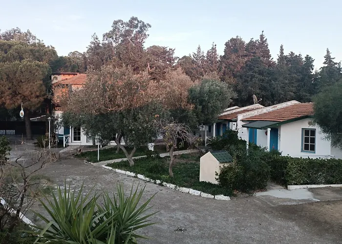 Teos Ormanci Tatil Koyu