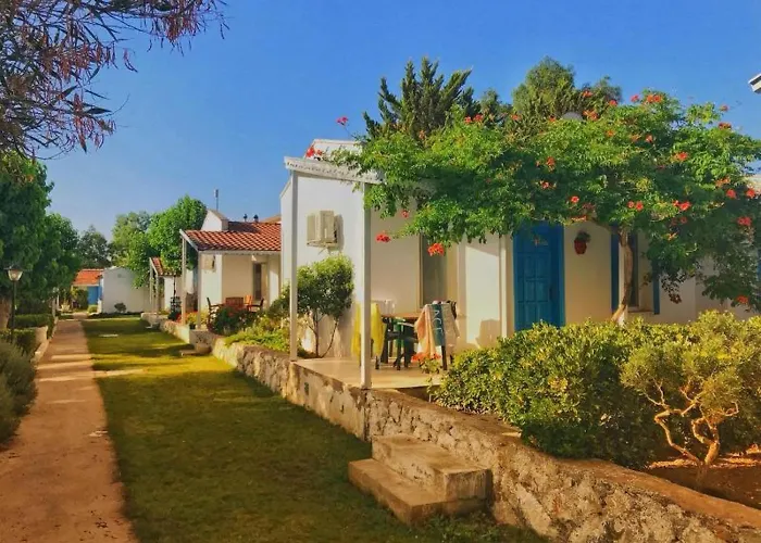 Teos Ormanci Tatil Koyu Semesteranläggning (resort)