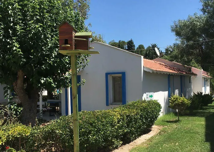 Teos Ormanci Tatil Koyu Semesteranläggning (resort)