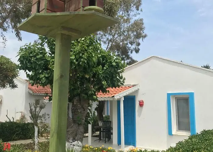 Teos Ormanci Tatil Koyu Resort