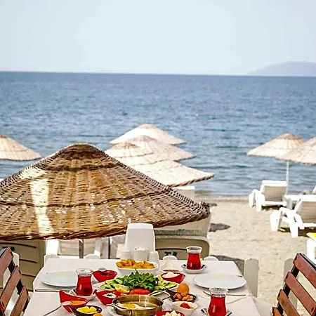 Teos Ormanci Tatil Koyu Курортный комплекс 3*