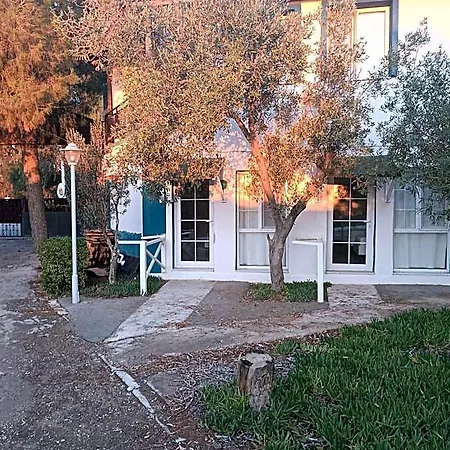 Teos Ormanci Tatil Koyu منتجع 3*