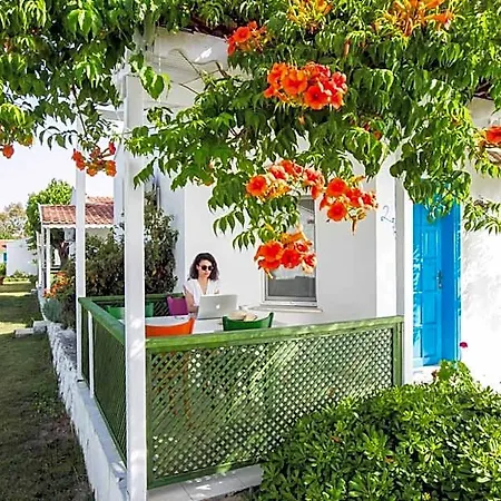 Teos Ormanci Tatil Koyu منتجع 3*