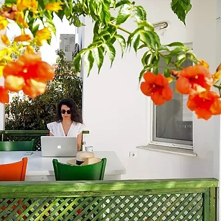Teos Ormanci Tatil Koyu سفيريهيسار