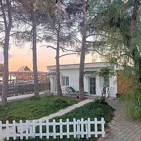 Teos Ormanci Tatil Koyu منتجع 3*