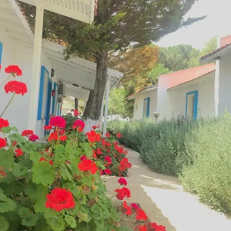אתר נופש Teos Ormanci Tatil Koyu