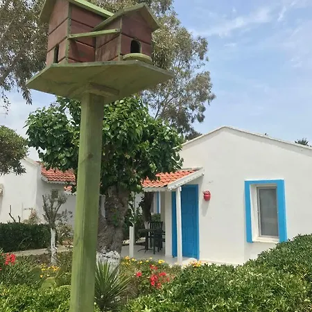 Teos Ormanci Tatil Koyu אתר נופש