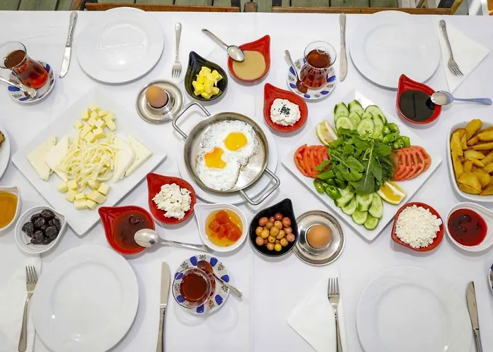 Teos Ormanci Tatil Koyu